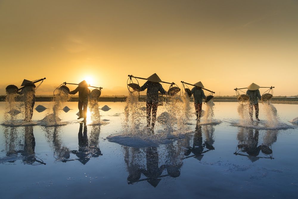 Öar i Asien: En Fascinerande Mosaik av Kulturer, Naturlandskap och Mer