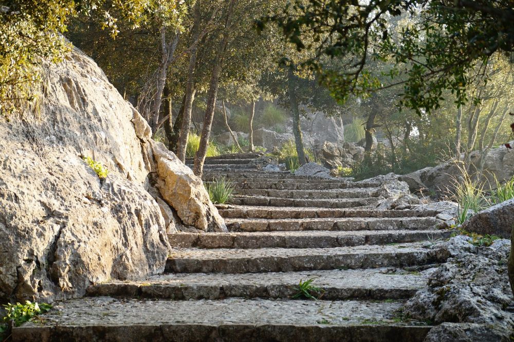 Mäklare på Mallorca: Din Guide till Drömboendet i Medelhavet